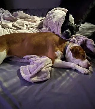 Coco