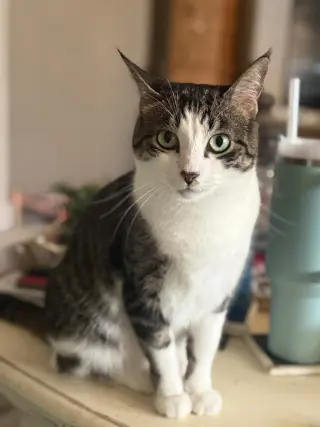 Betty