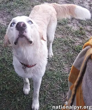Maggie June in LA - An Absolute Sweetheart!