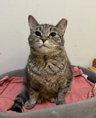 Sandy