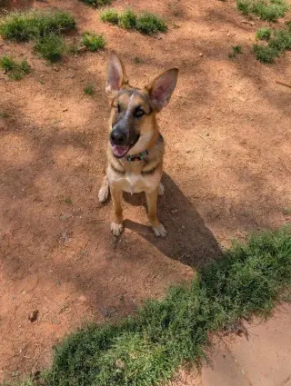 Leela