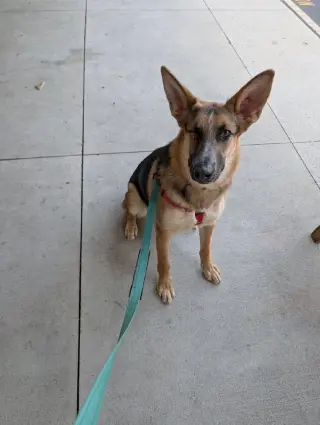 Leela