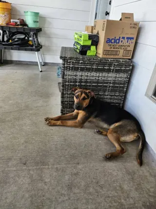 Mac