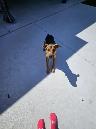 Mac