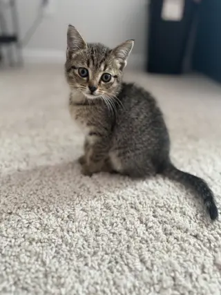 Mayday