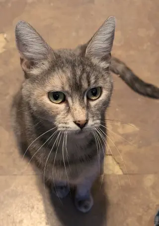 Sweetheart