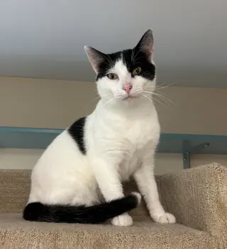 Jax
