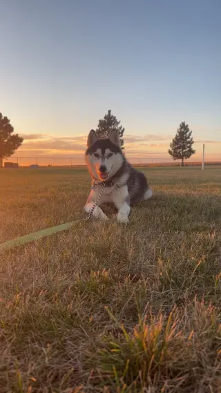 Jack