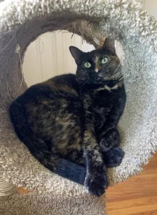 eleanor