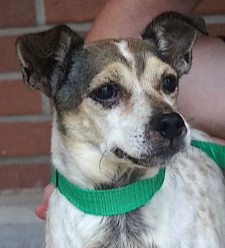 Gus