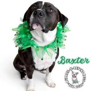 Baxter
