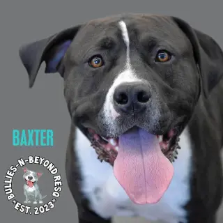Baxter