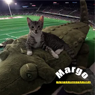 Margo