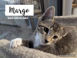Margo
