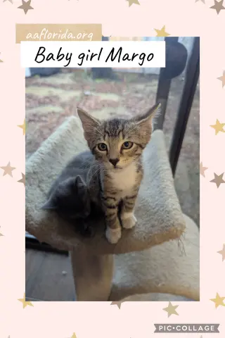 Margo