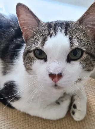 Jimmy
