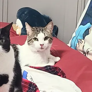 Jimmy