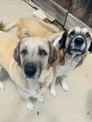 Dawn & Rae