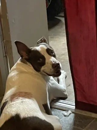 Roscoe