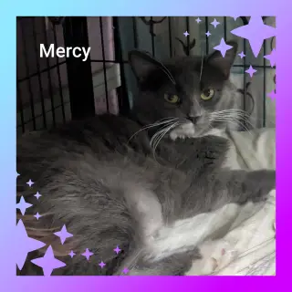 Mercy
