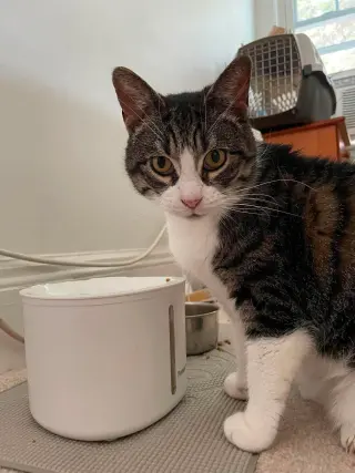 Katie