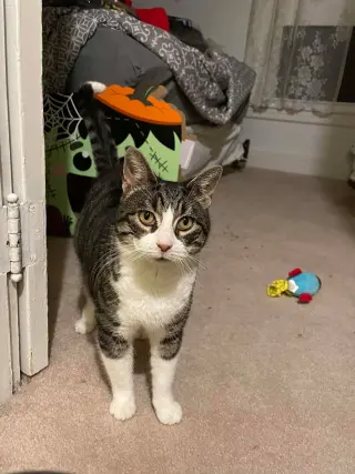 Katie