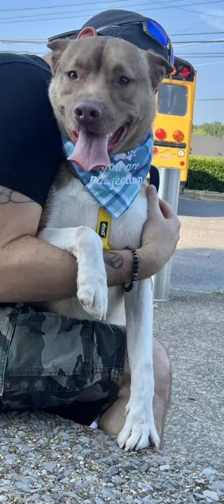 Ace