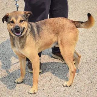 Max