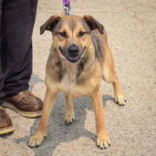 Max