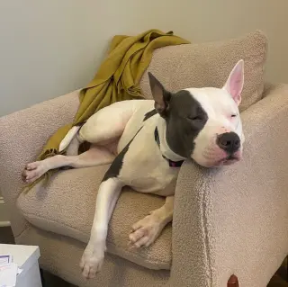 Pinky (Courtesy Post)