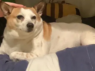 Popcorn (Courtesy Post)