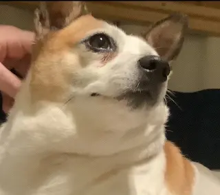 Popcorn (Courtesy Post)