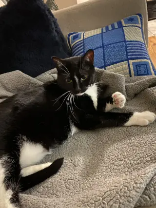Nina