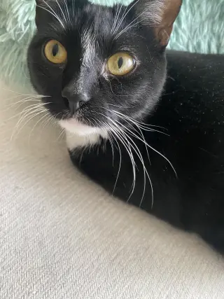 Nina