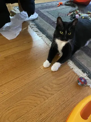 Nina