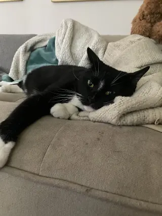Nina