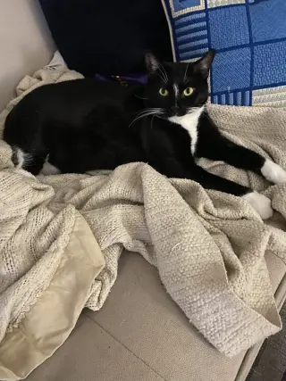 Nina