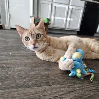 Cuddlebug