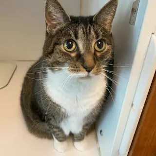 Molly