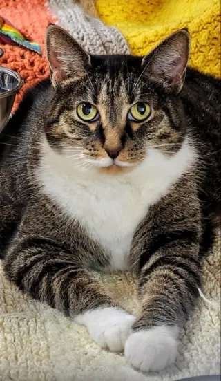 Molly