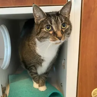 Molly