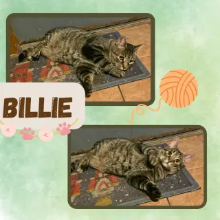 Billie