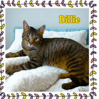 Billie