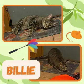 Billie