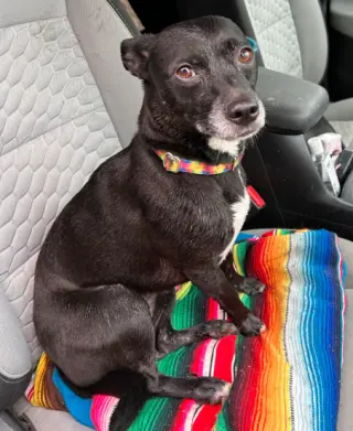 Zoe