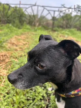 Zoe