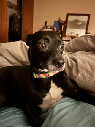 Zoe