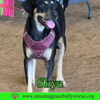 Skye