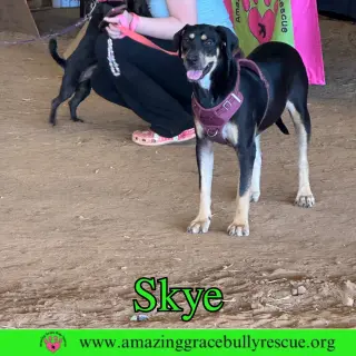 Skye