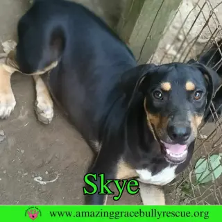 Skye